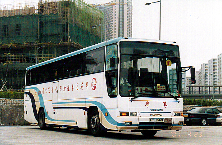 gdhk81.jpg