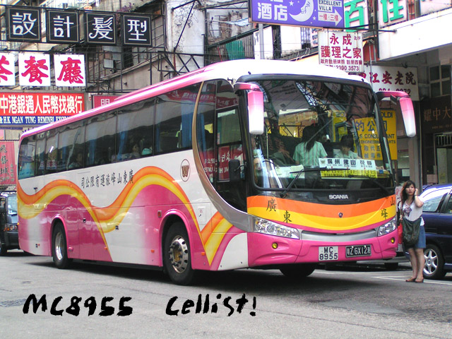 mc8955.jpg