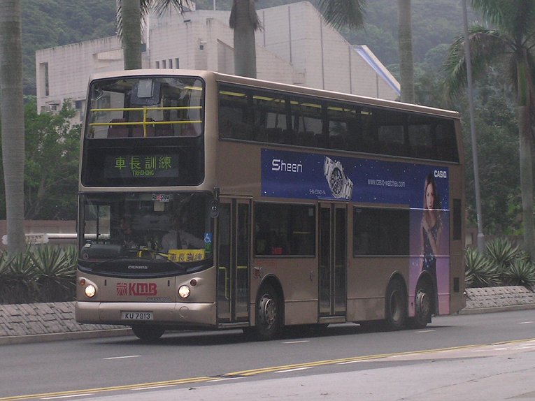 P1013769.jpg