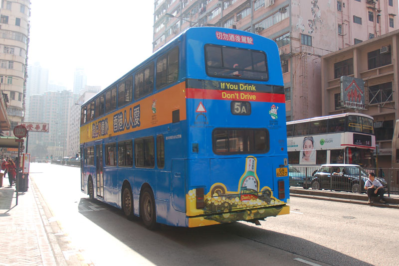 DSC_2595.jpg