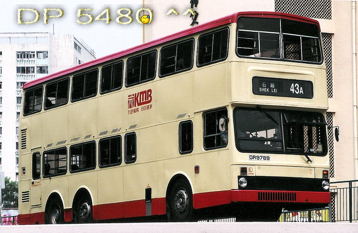 DR9789@43AAA.jpg