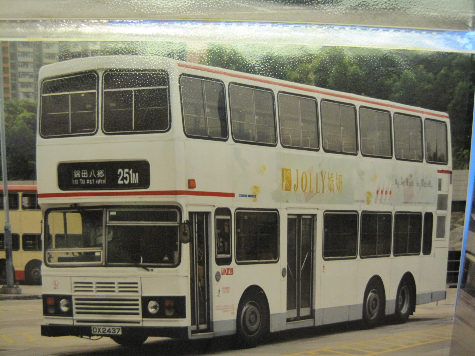 AL 1 @ 251M.JPG