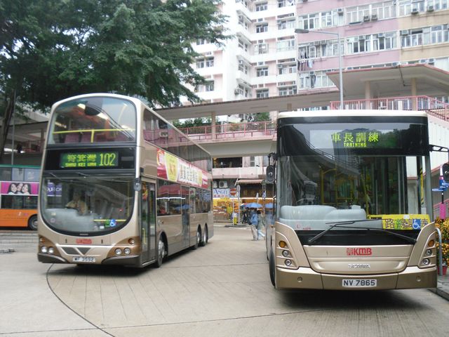 09.jpg
