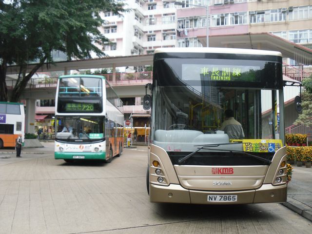 06.jpg