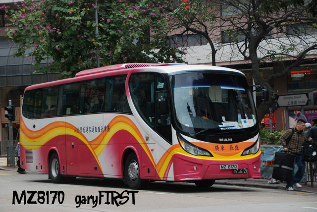 mz8170-3.jpg