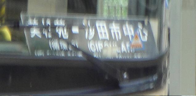 DSC01559.JPG