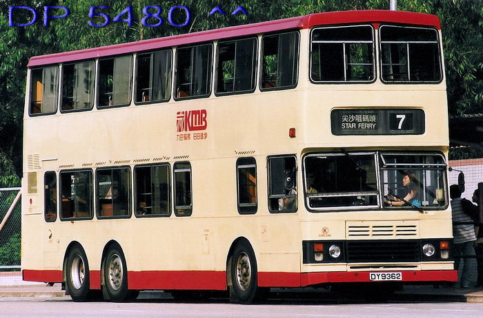 DY9362@7.jpg