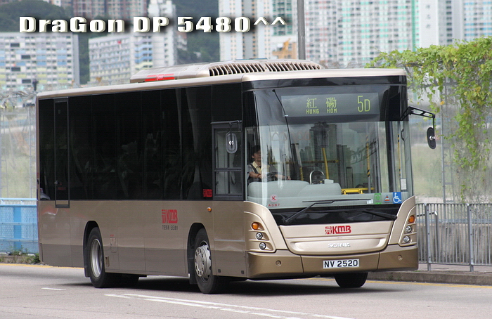 NV2520-5D-RG.jpg
