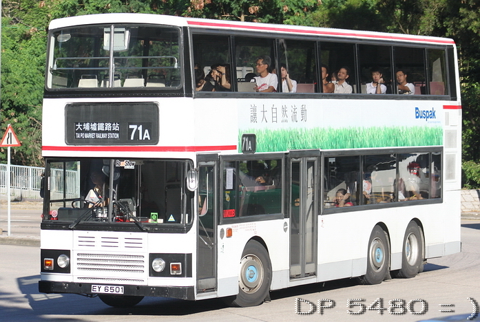 EY6501-71A-P.jpg