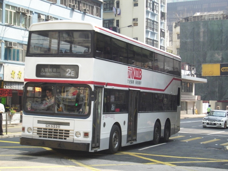 p8590240.jpg