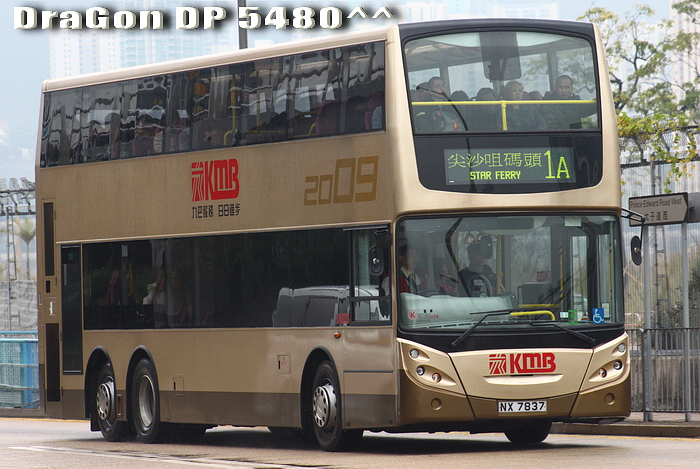 NX7837-1A-RG.jpg