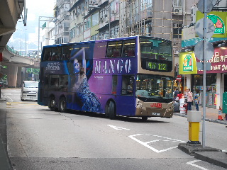 s20100331 014.jpg
