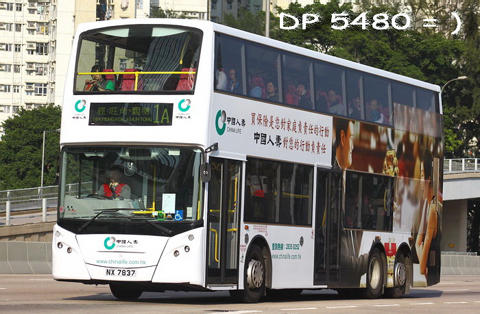 NX7837-1A-GL1.jpg