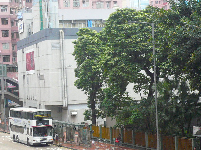 bus 175.JPG