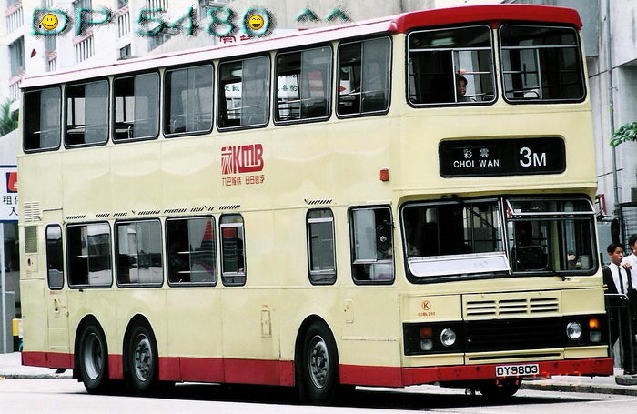 DY9803.jpg