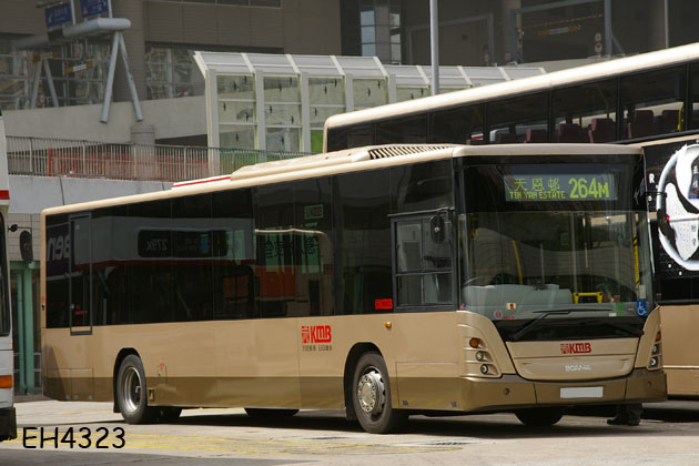 264M_01.jpg