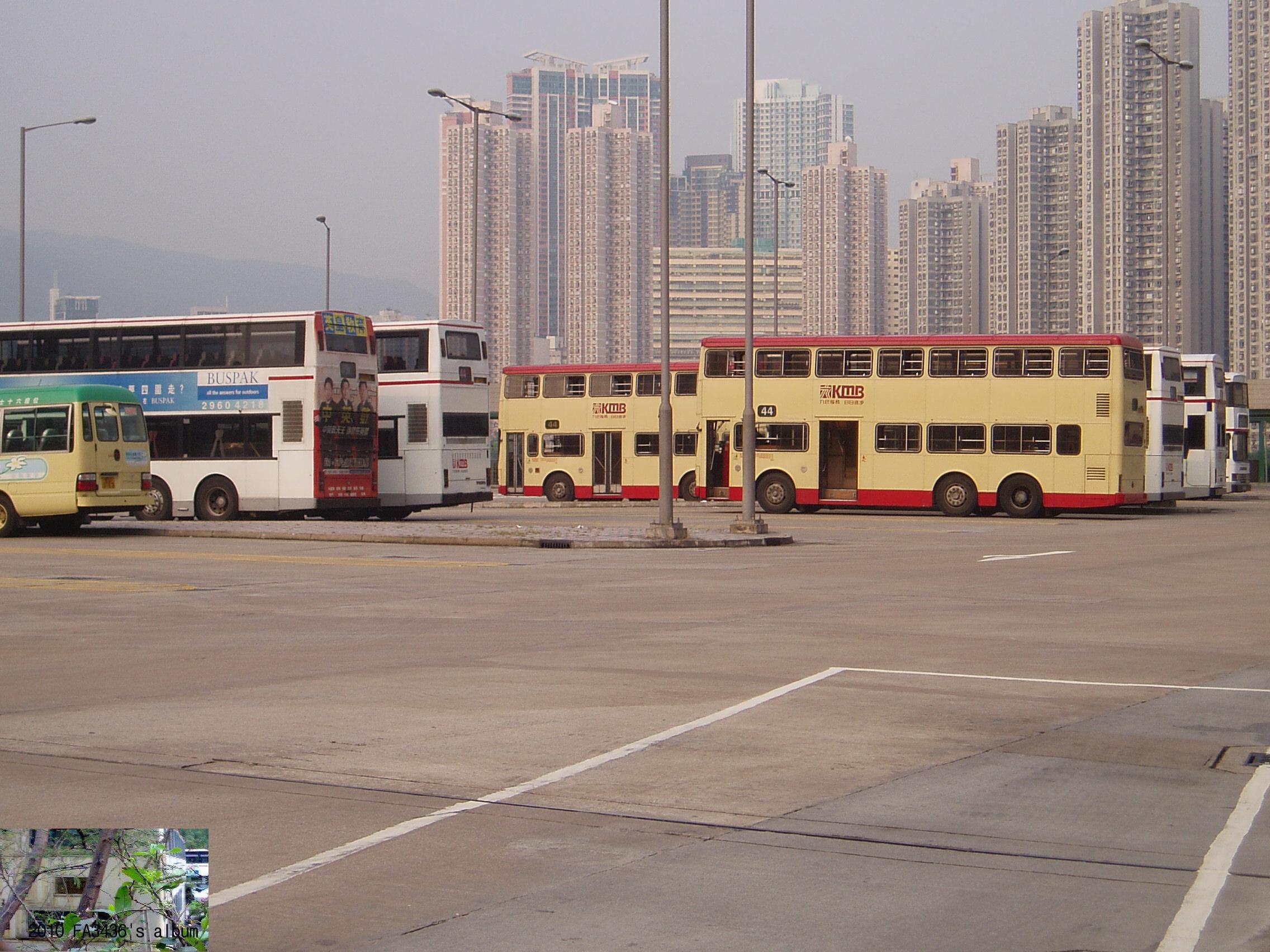 19.8.06 tsing yi (9).JPG