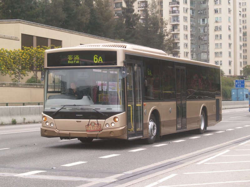 P4114911.jpg