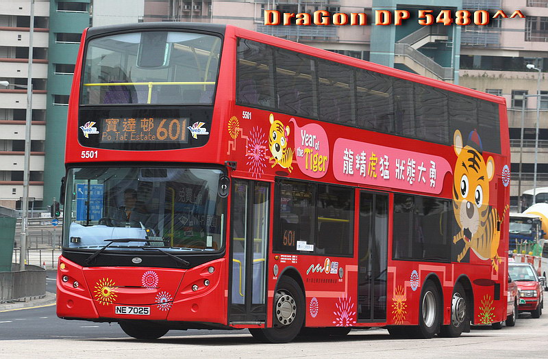 NE7025-601-GL.jpg