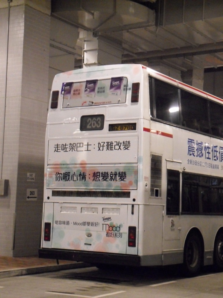 SDC12155.JPG