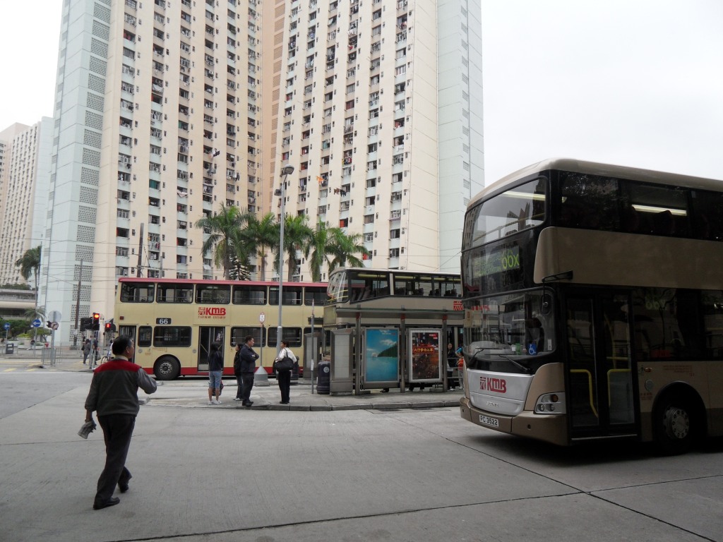 SDC10008.JPG