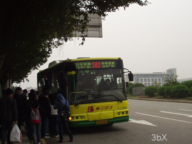 382.jpg