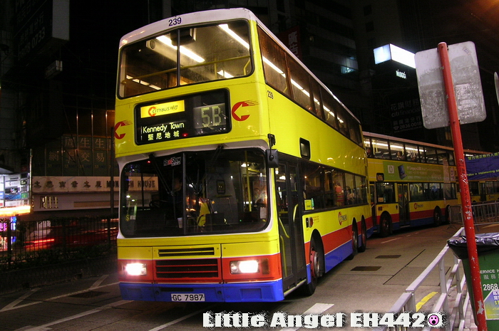 GC7989-239_5B-RR.jpg