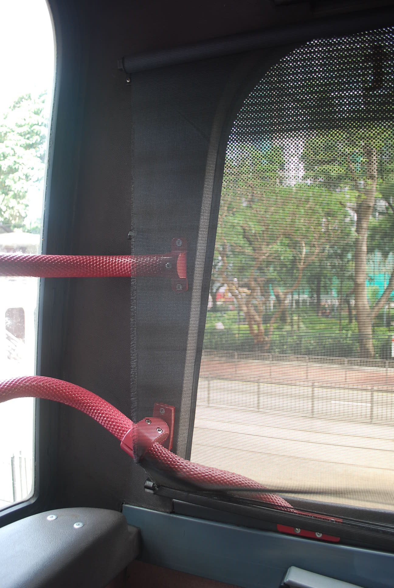 20100424 004.jpg