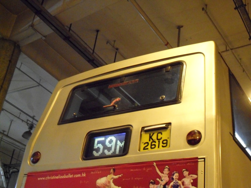 SDC10079.JPG
