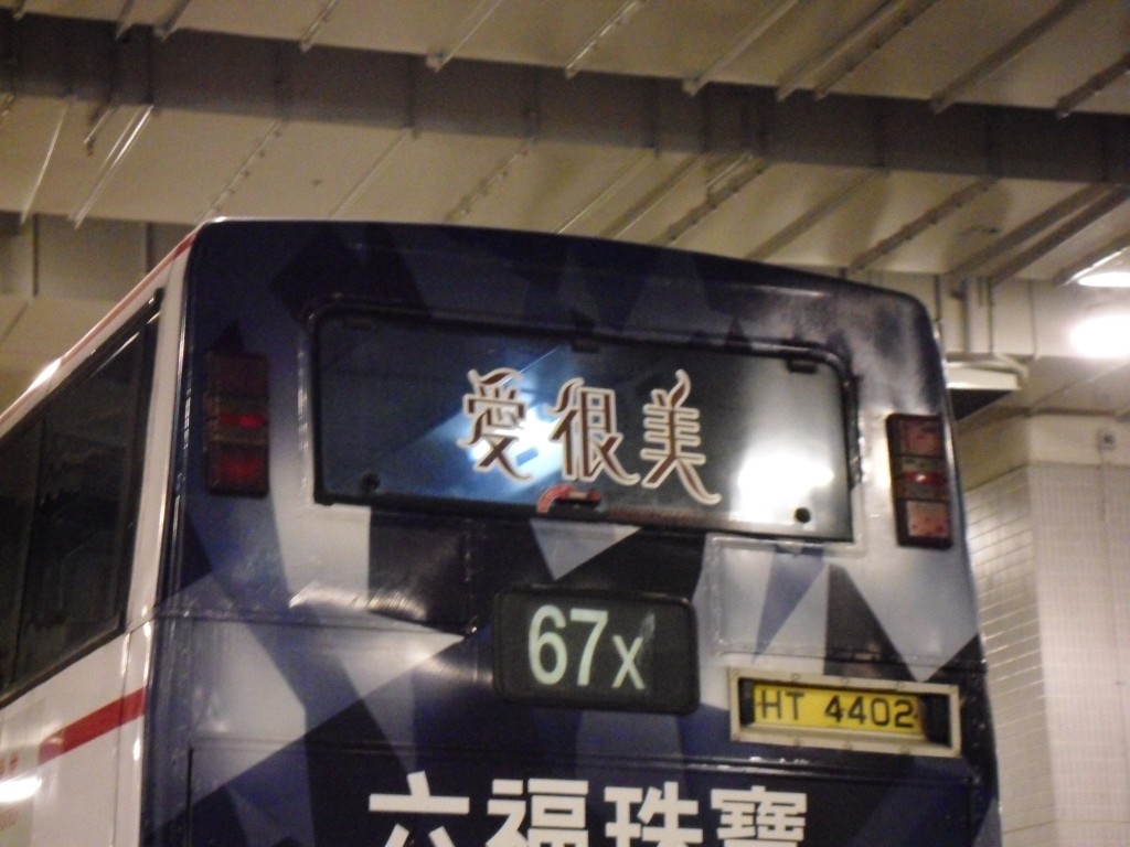 SDC10100.JPG