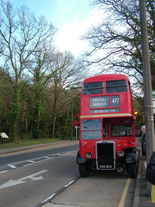 kgk803.jpg