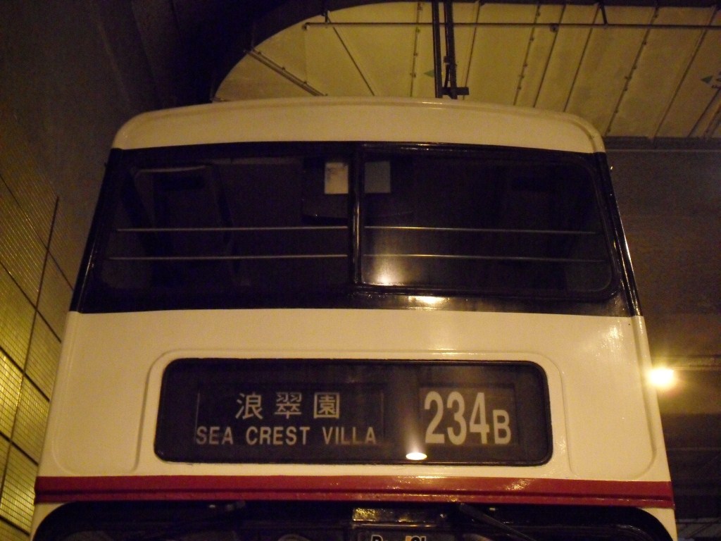SDC10256.JPG