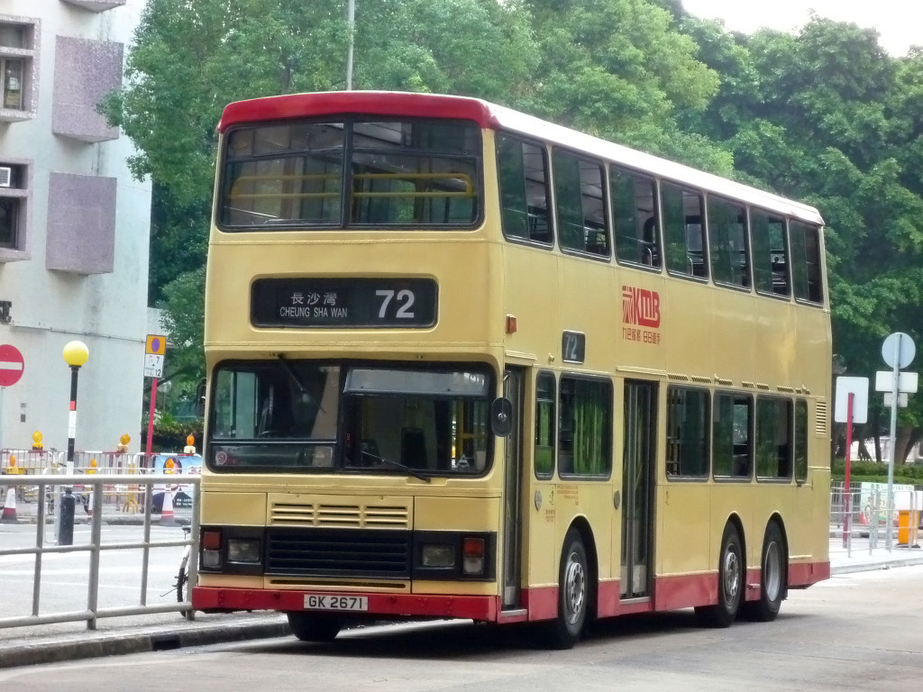 P1070827m.jpg