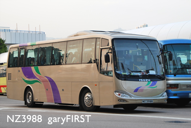 nz3988.jpg