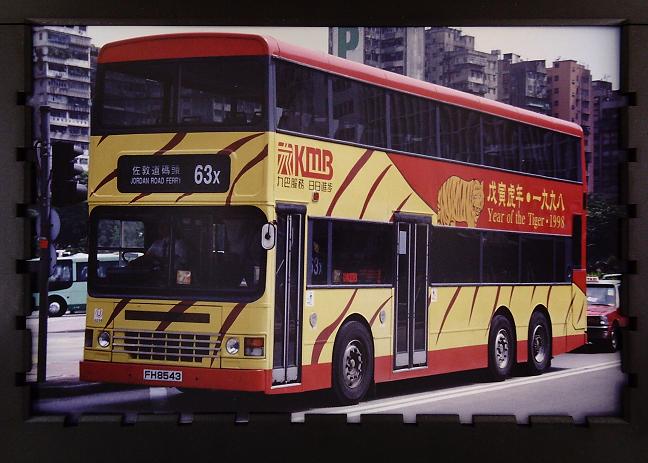 FH 8543 (Tiger 1998) @ 63X.JPG