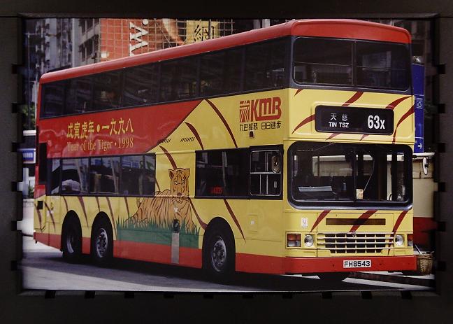FH 8543 (Tiger 1998) @ 63X (2).JPG
