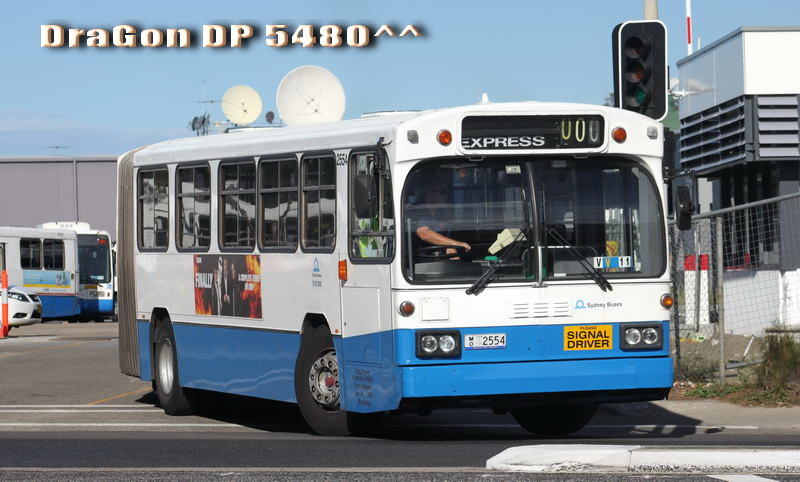 MO2554-P2.jpg