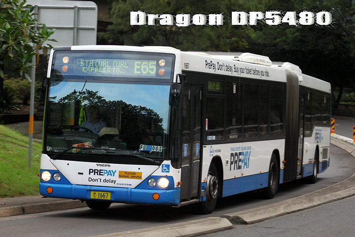 MO1667@e65.jpg