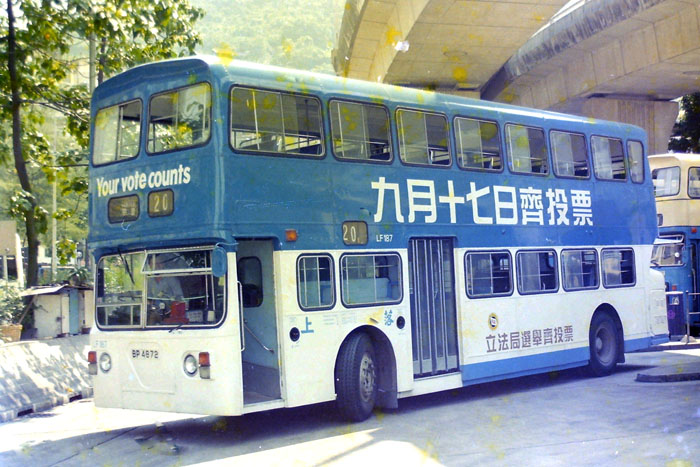 100.jpg