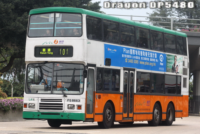 FG8663@101-FLG.jpg
