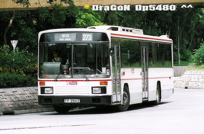 Fp2943@273-L.jpg