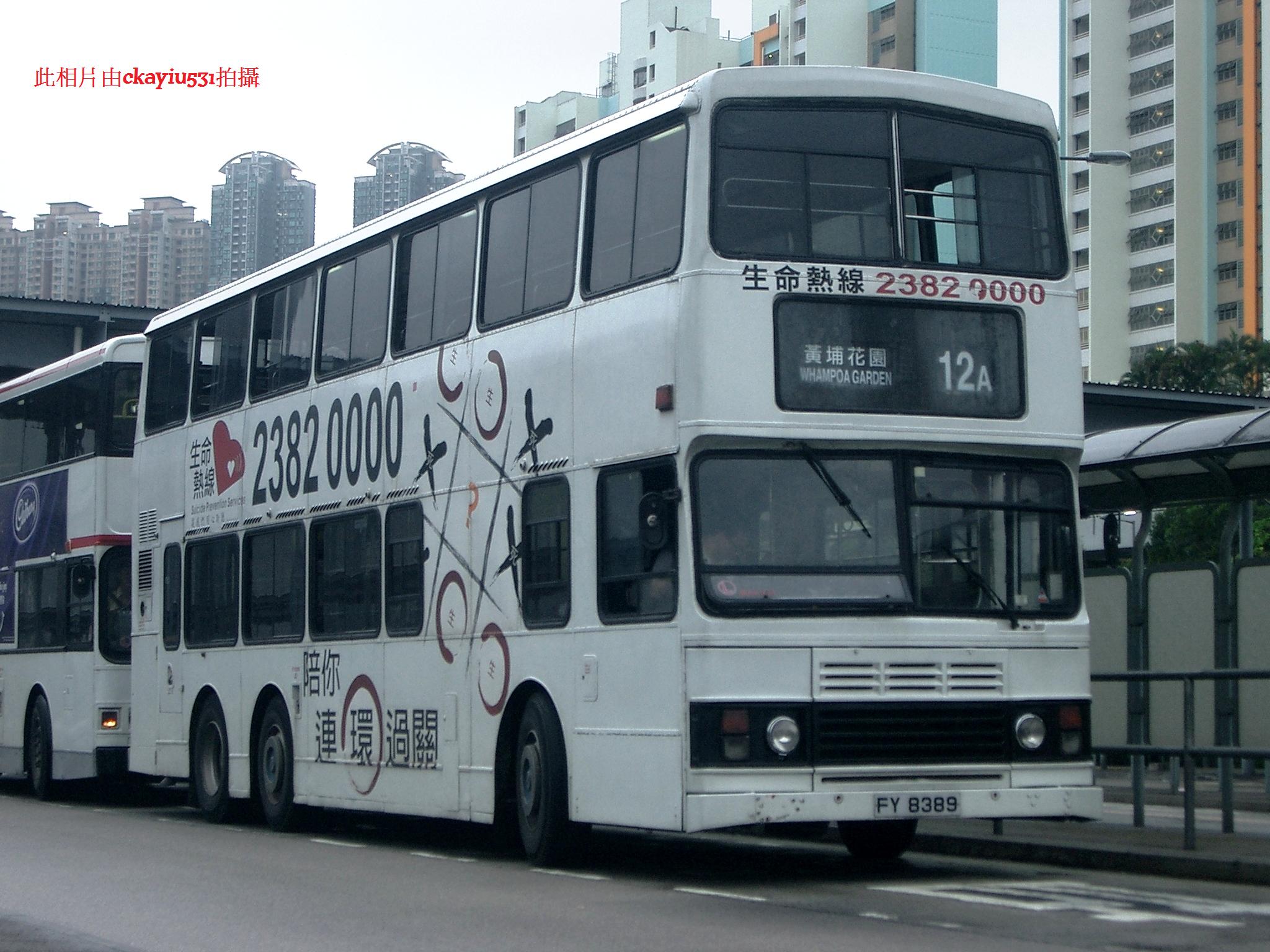 CIMG0331.jpg
