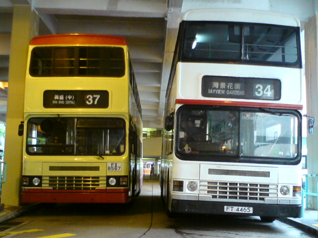 DSC01475.JPG