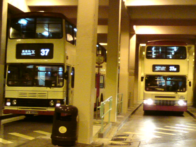 DSC01139.JPG