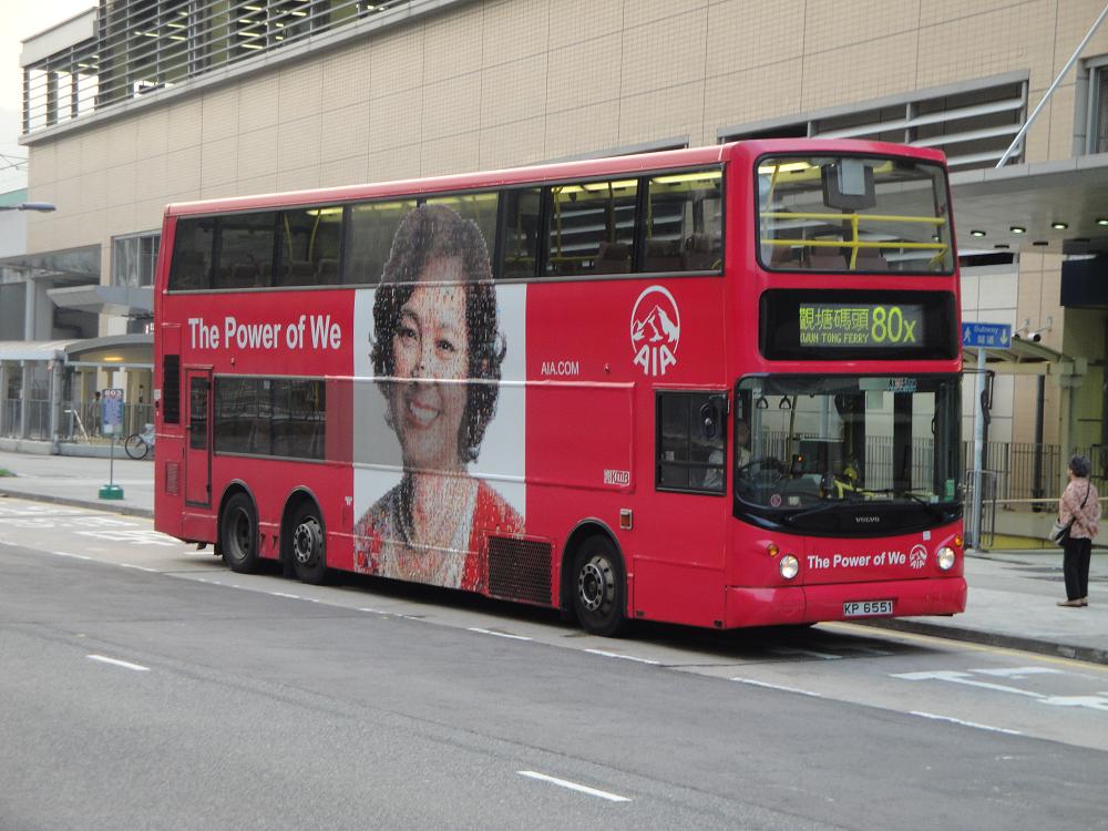 3ASV384@80X(20100604B).JPG