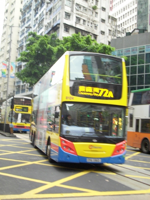 p8610582.jpg