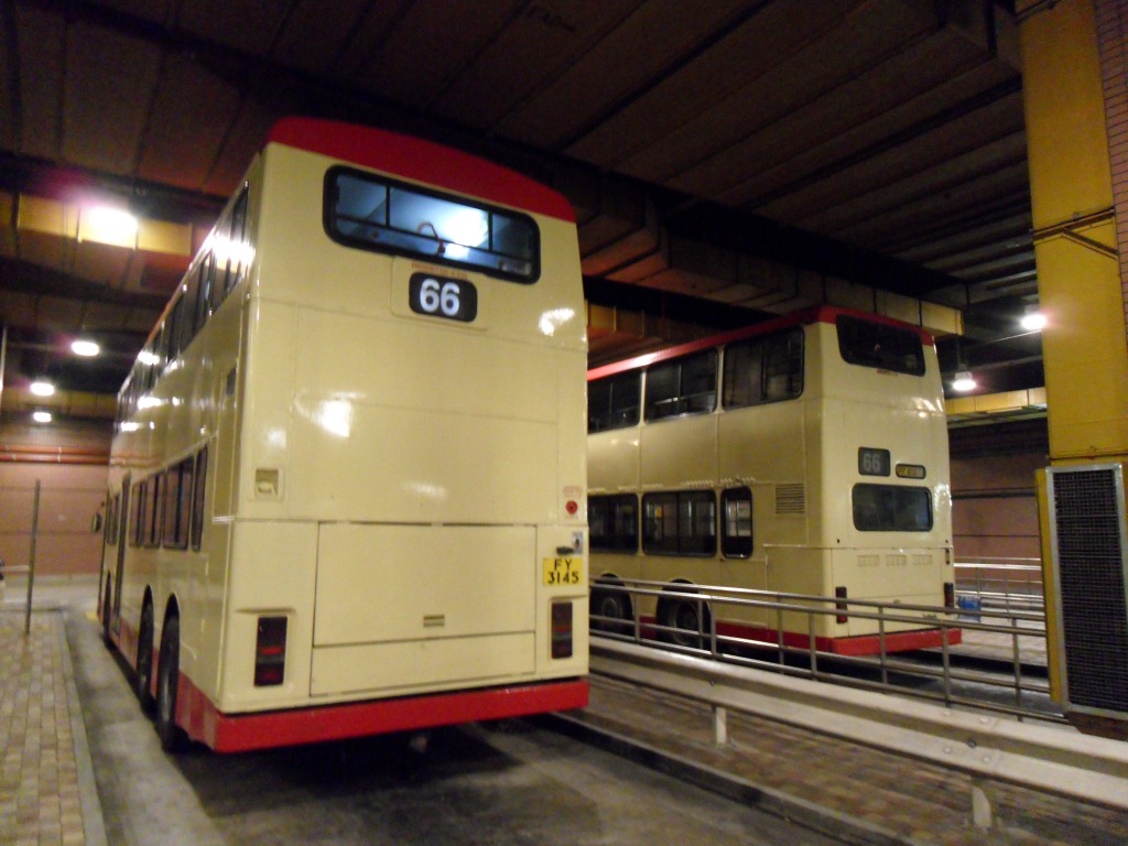 SDC11339.JPG