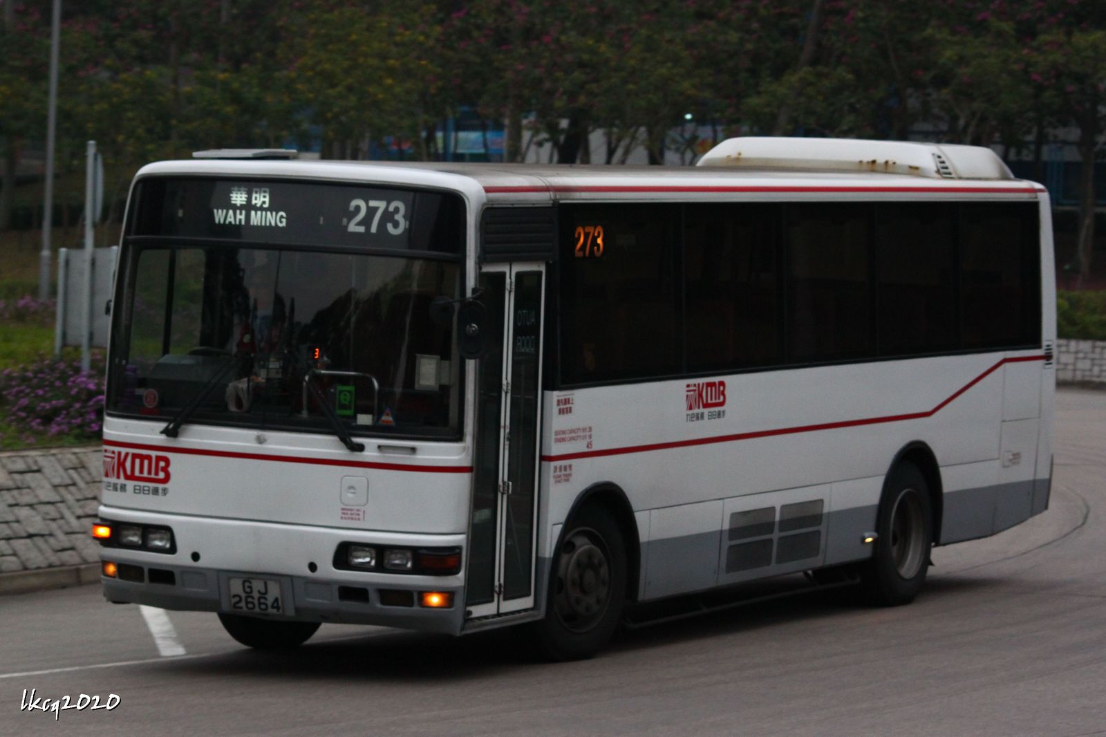IMG_8607.jpg