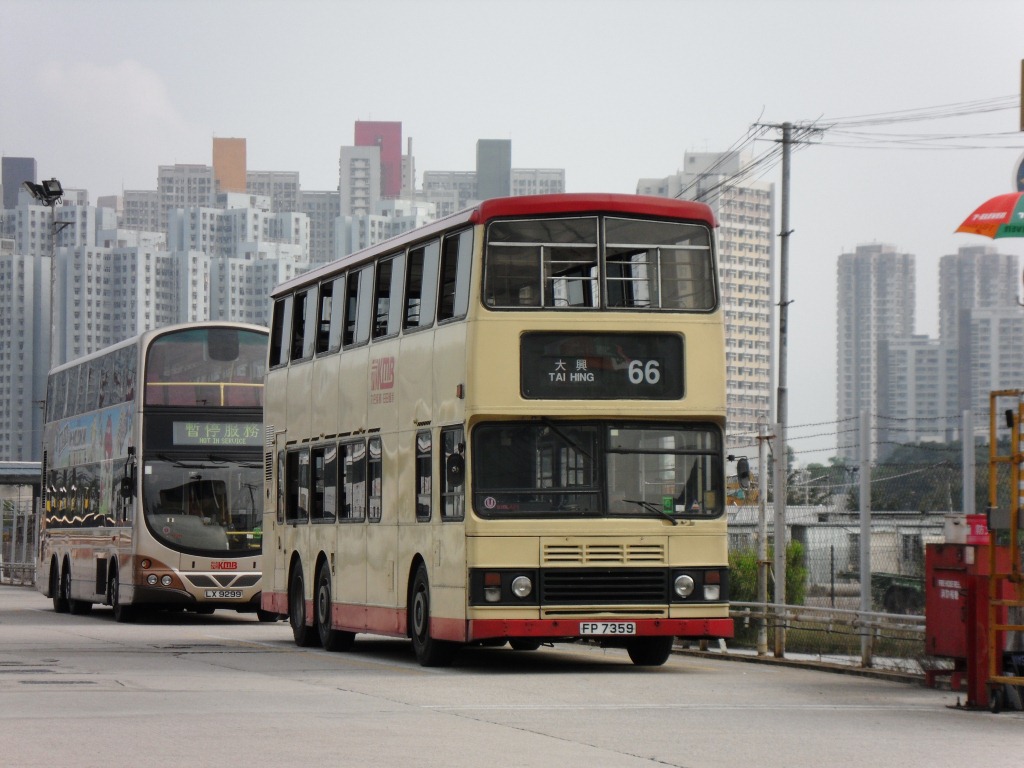 SDC11003.JPG