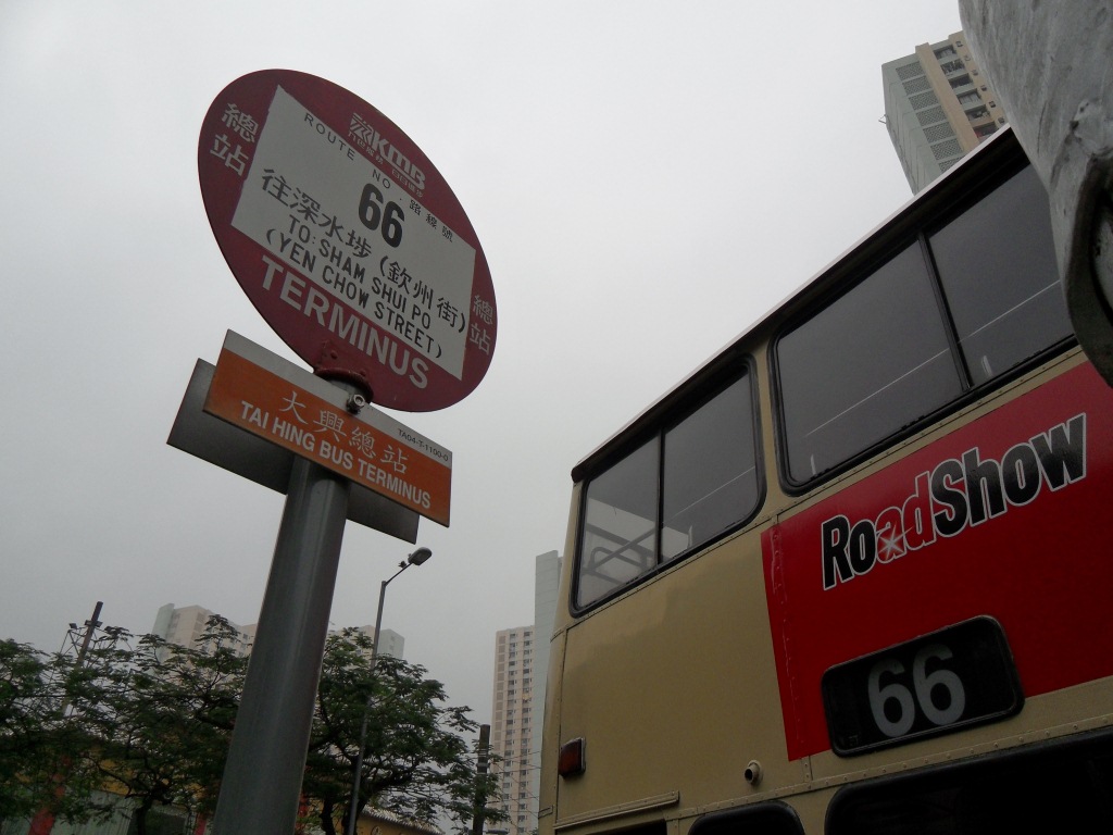 SDC10581.JPG